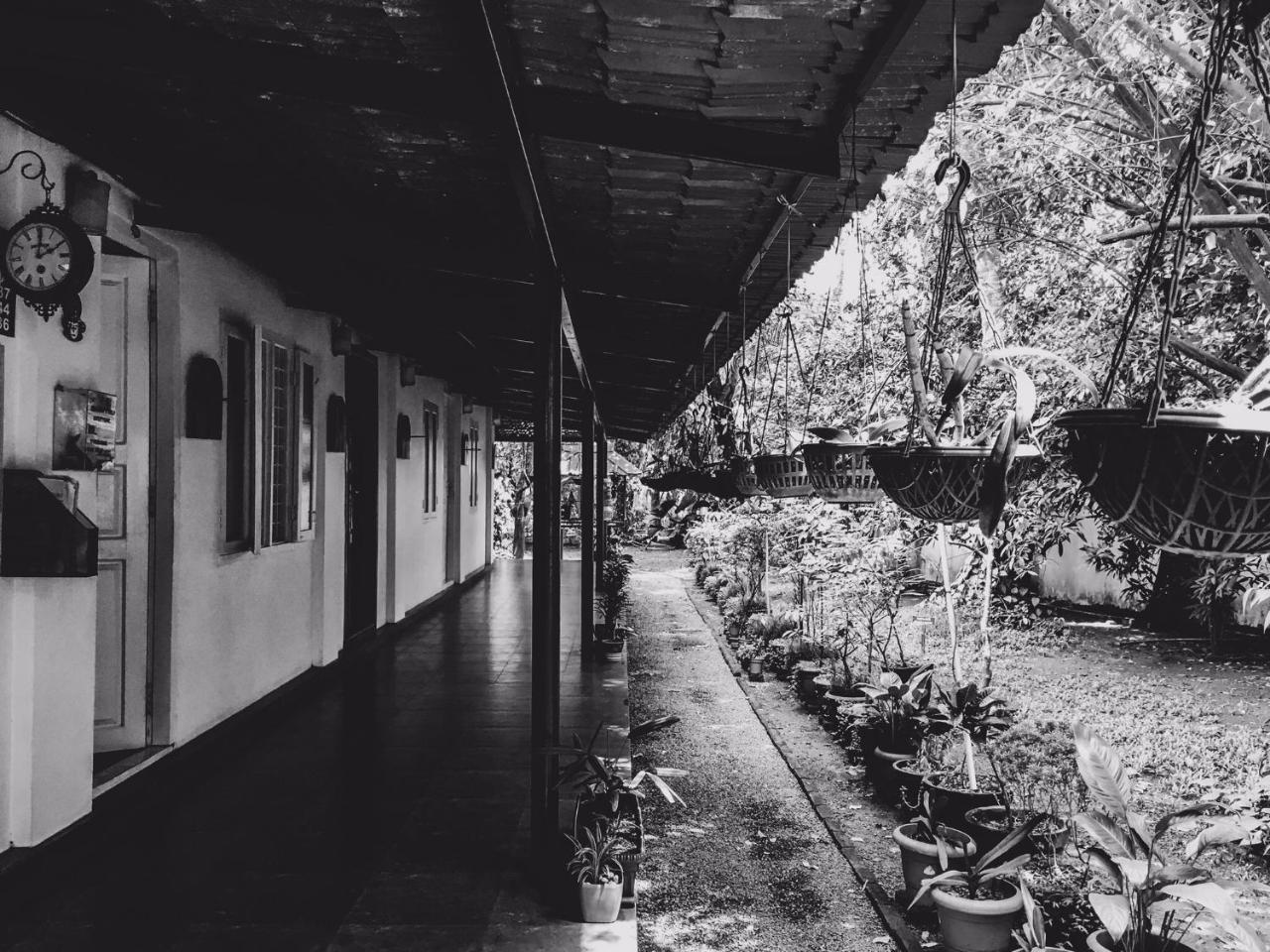 Palm Grove Service Villa Kochi Exterior foto