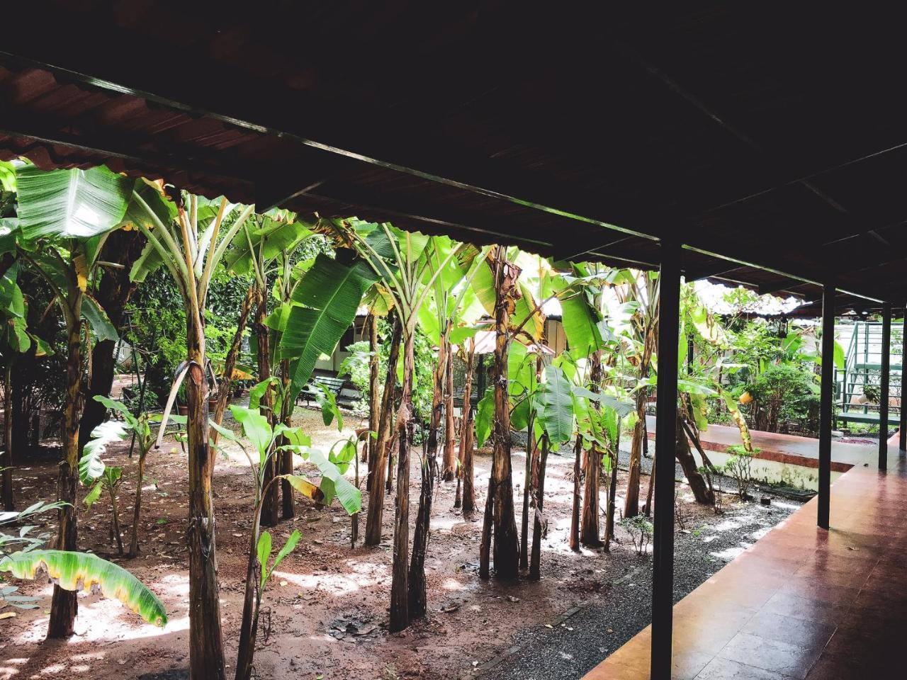 Palm Grove Service Villa Kochi Exterior foto