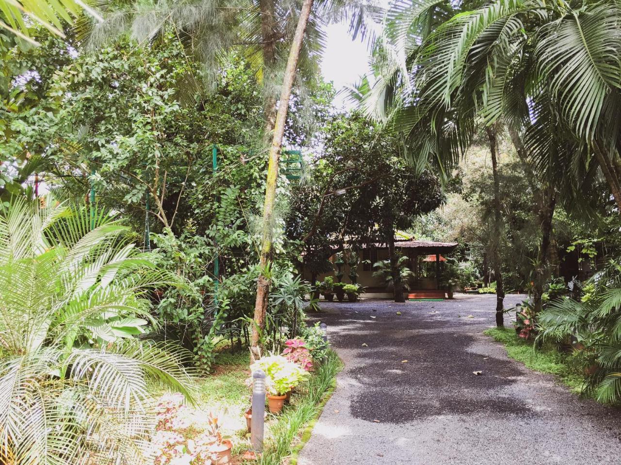 Palm Grove Service Villa Kochi Exterior foto