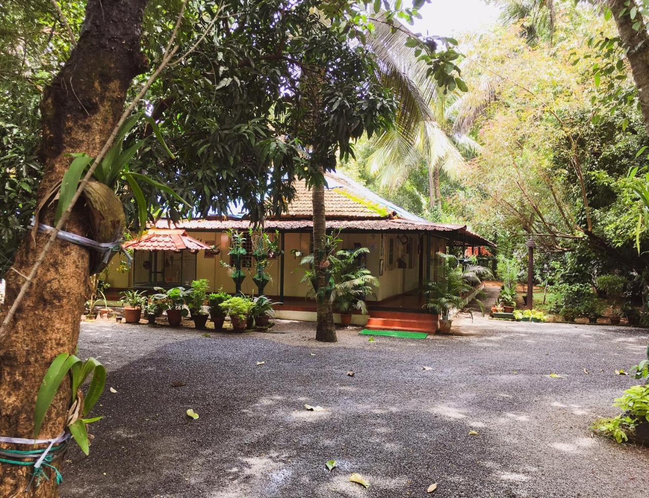 Palm Grove Service Villa Kochi Exterior foto